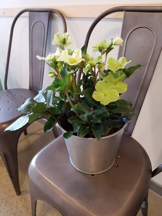 New Hope Veterinary Hospital Picture 9