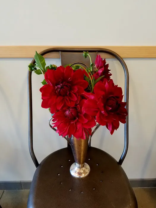 New Hope Veterinary Hospital Picture 8