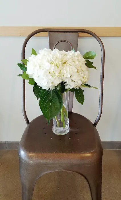 New Hope Veterinary Hospital Picture 10