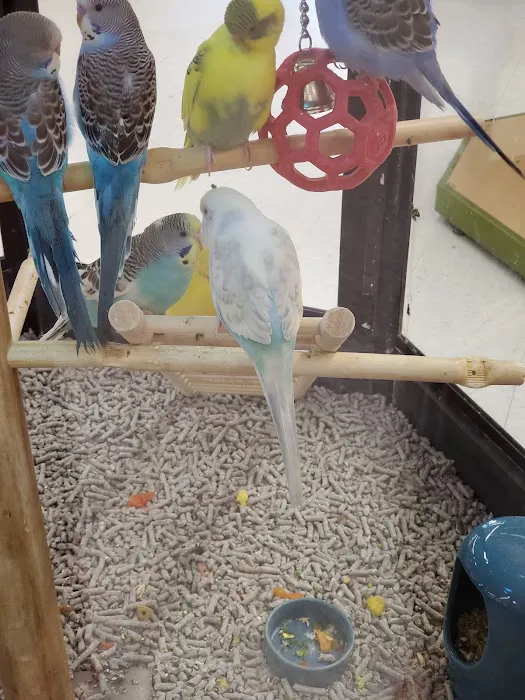 Petco Picture 3