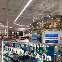 Petco ico