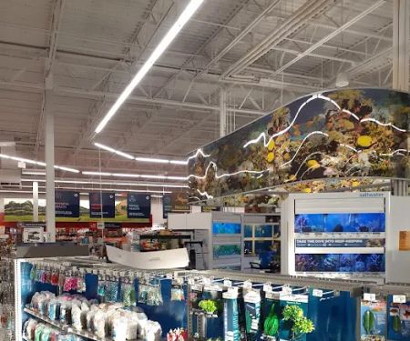 Petco
