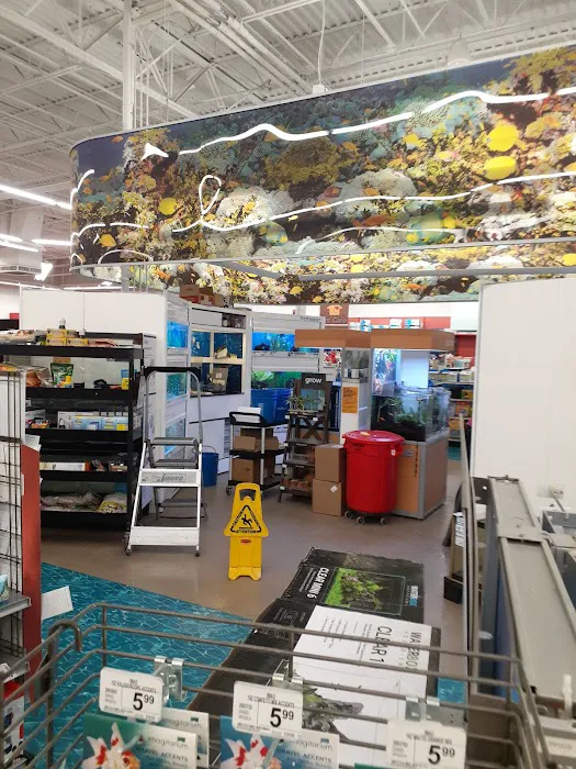 Petco Picture 9
