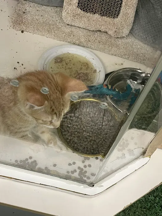 Petco Picture 10