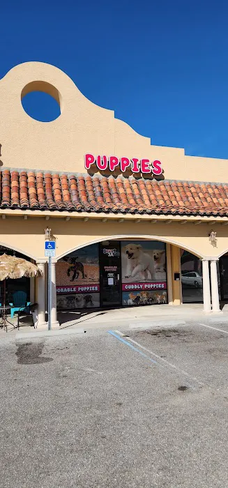 Waggles Port Charlotte Picture 3