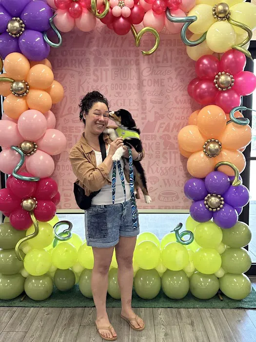 Waggles Port Charlotte Picture 6