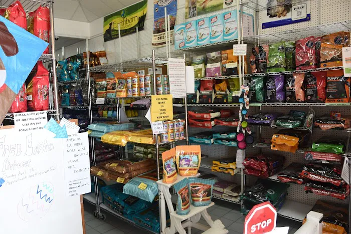 C N D Pet Boutique Picture 5