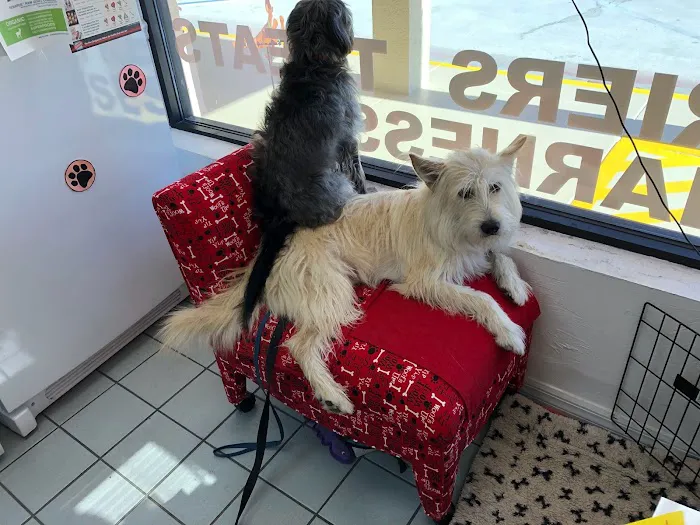 C N D Pet Boutique Picture 3