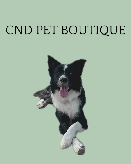 C N D Pet Boutique Picture 6