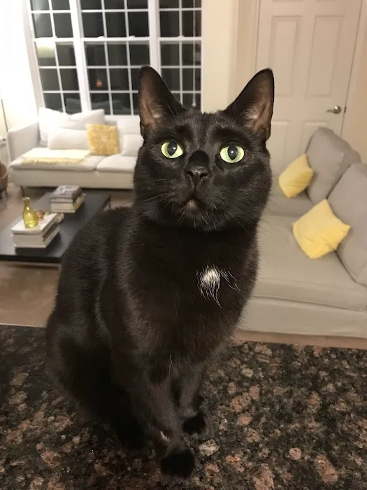 Buxmont Veterinary Hospital Picture 7