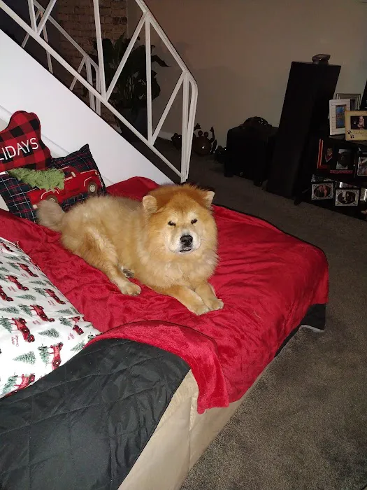 Buxmont Veterinary Hospital Picture 6