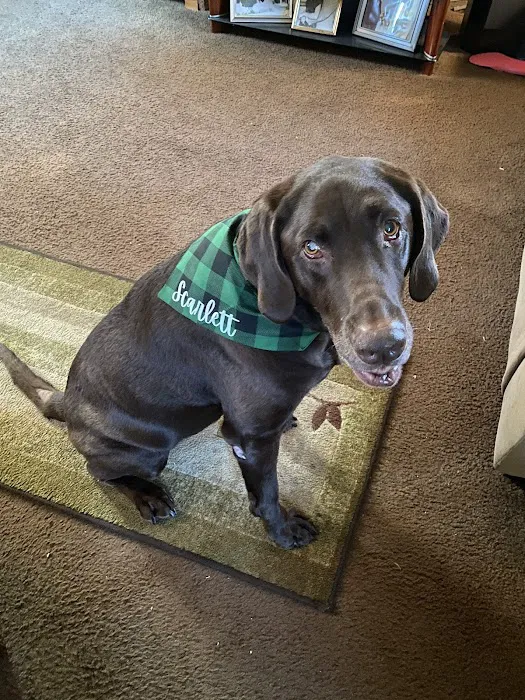 Buxmont Veterinary Hospital Picture 8