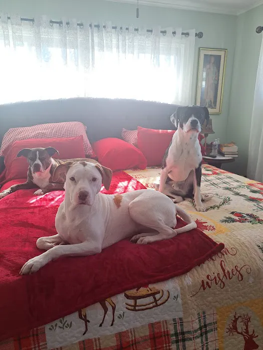 Buxmont Veterinary Hospital Picture 9