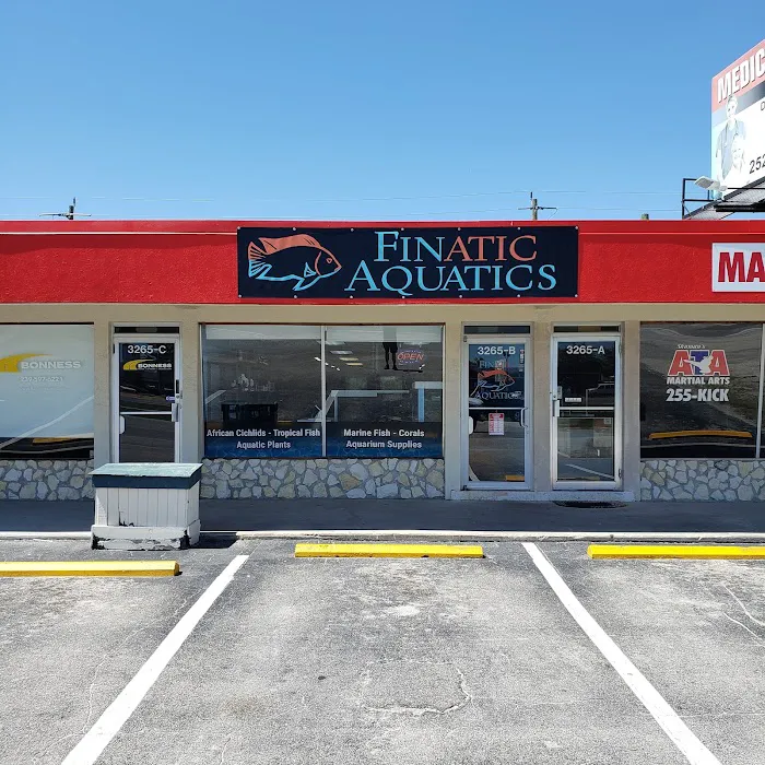 Finatic Aquatics Picture 2