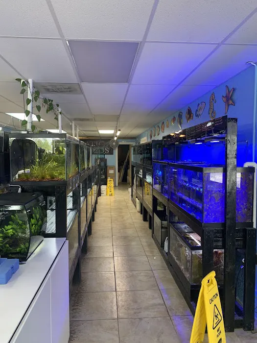 Finatic Aquatics Picture 1