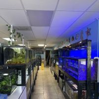 Finatic Aquatics ico