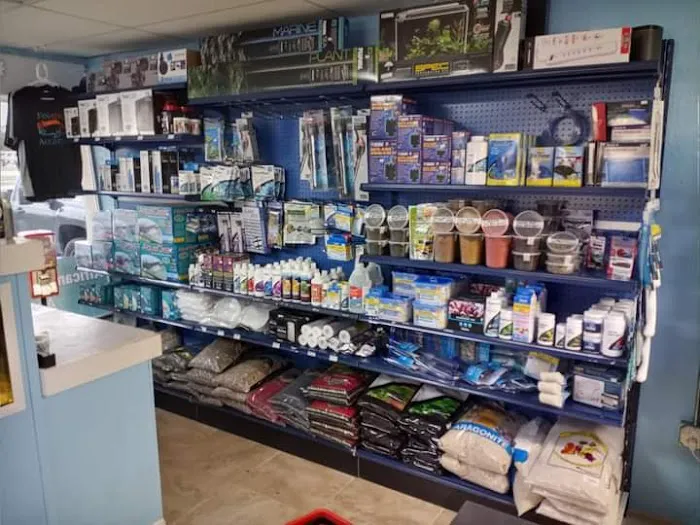 Finatic Aquatics Picture 4