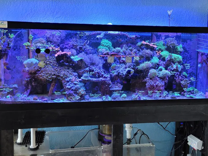 Finatic Aquatics Picture 6