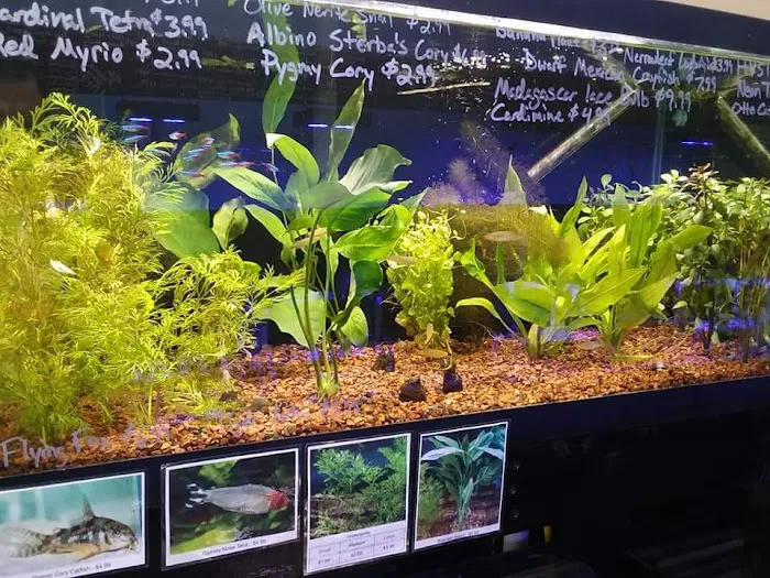 Finatic Aquatics Picture 5