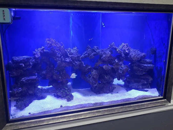 Finatic Aquatics Picture 8