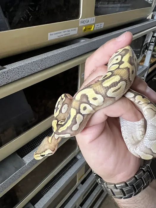 CjC Exotics, LLC Picture 5