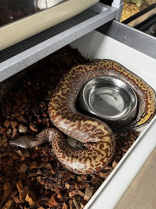 CjC Exotics, LLC Picture 6