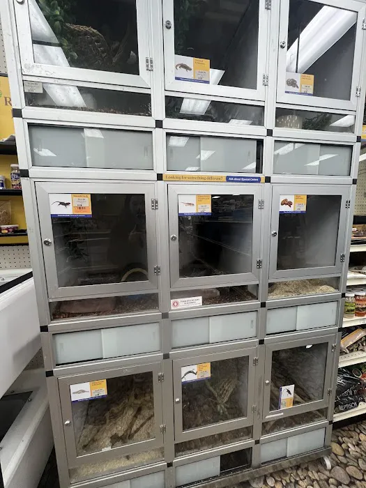 Pet Supermarket Picture 8