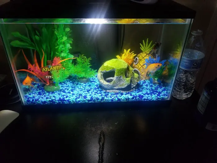 Pet Supermarket Picture 10