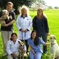 Newtown Veterinary Hospital, LLC ico