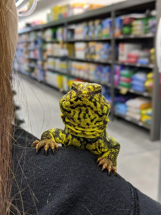 Pet Supplies Plus Port Charlotte Picture 2