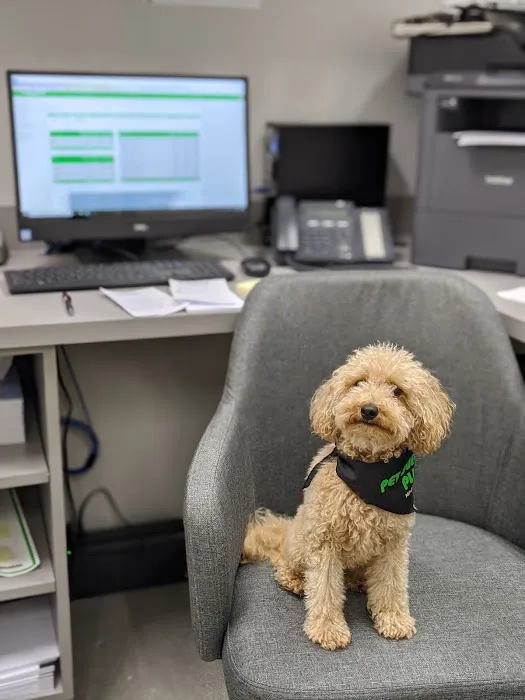 Pet Supplies Plus Port Charlotte Picture 9