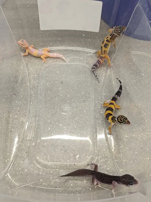 Pet Supplies Plus Port Charlotte Picture 7