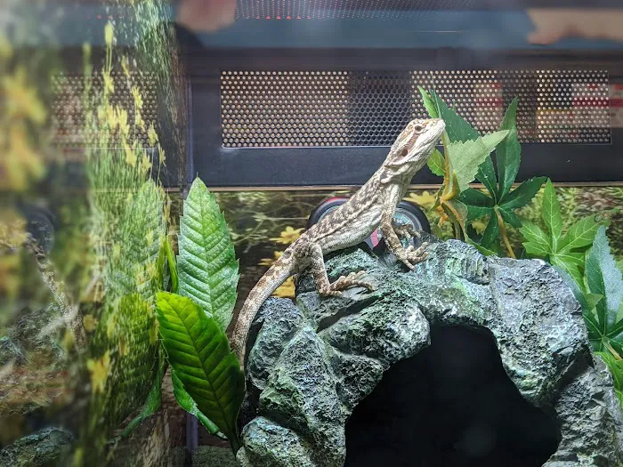 Pet Supplies Plus Port Charlotte Picture 10