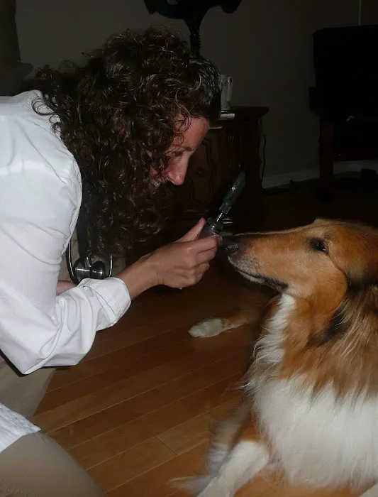 Healing Pets Mobile Vet Picture 1