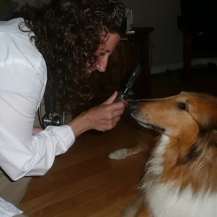 Healing Pets Mobile Vet Picture 3