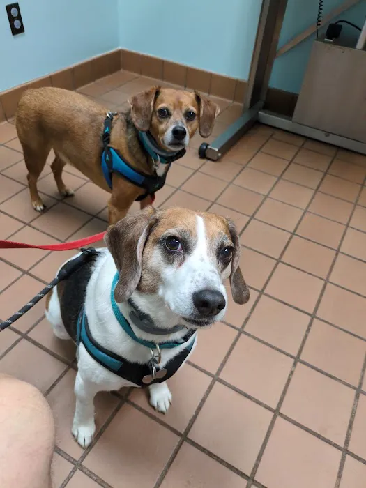Indian Walk Veterinary Center Picture 5
