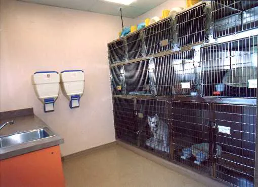 Indian Walk Veterinary Center Picture 9