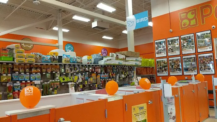 Petland Jacksonville Picture 3