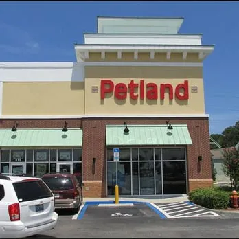 Petland Jacksonville Picture 1
