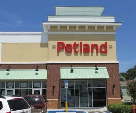 Petland Jacksonville