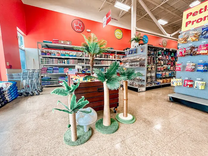 Petland Jacksonville Picture 4