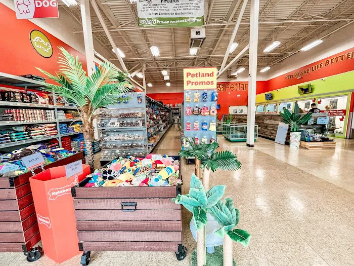 Petland Jacksonville Picture 8