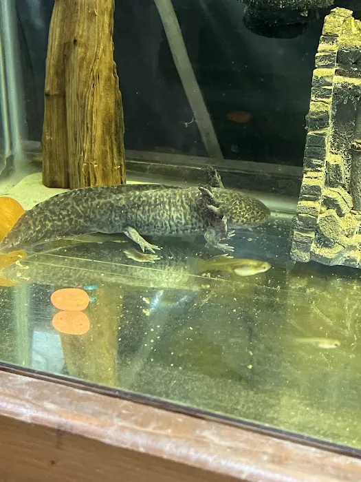 Sam's Flying Frog Ranch LLC Picture 1