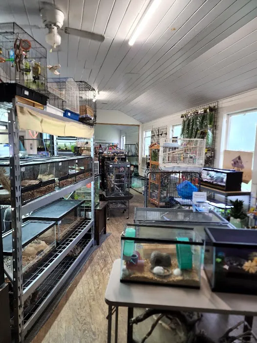 Sam's Flying Frog Ranch LLC Picture 3