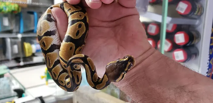 Sam's Flying Frog Ranch LLC Picture 4