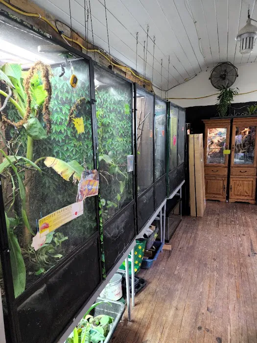 Sam's Flying Frog Ranch LLC Picture 5