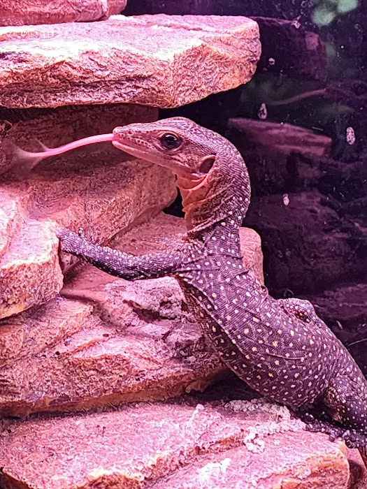 Sam's Flying Frog Ranch LLC Picture 7