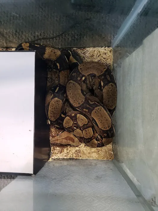 Sam's Flying Frog Ranch LLC Picture 6