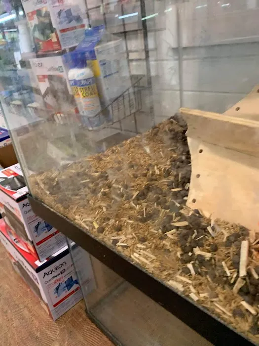 Sam's Flying Frog Ranch LLC Picture 10