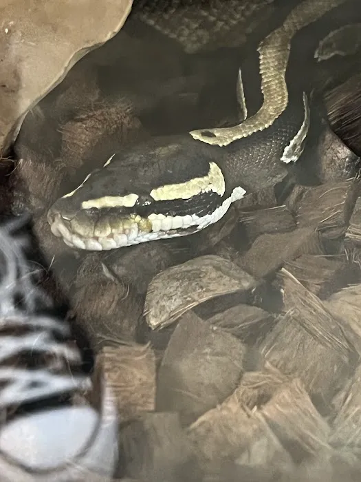 Sam's Flying Frog Ranch LLC Picture 9